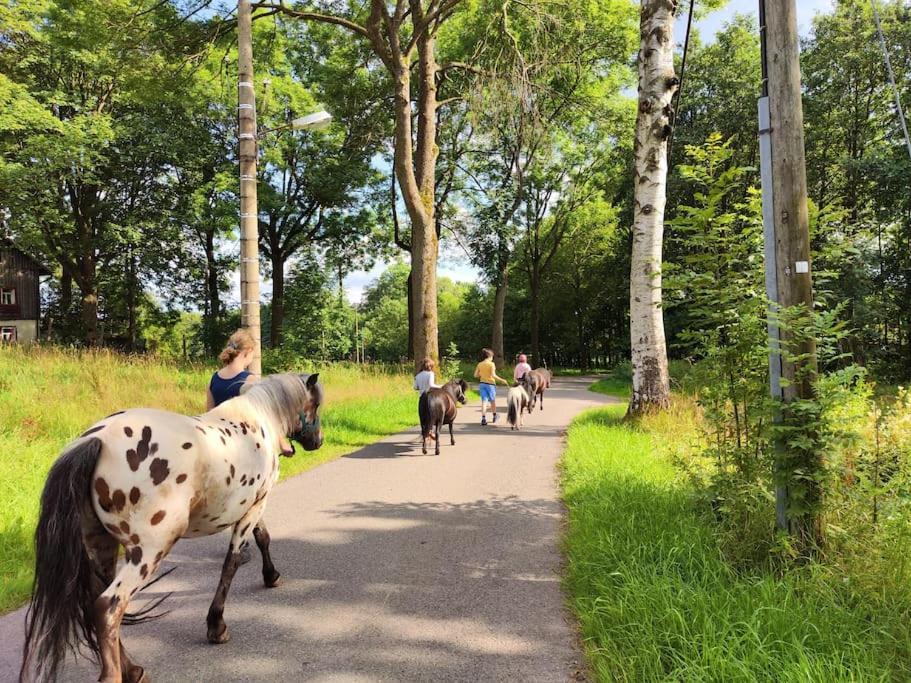 Ferienwohnung Erlebnisfarm John Sayda Eksteriør bilde